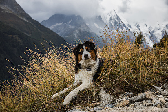 20211003_Walkies-0712