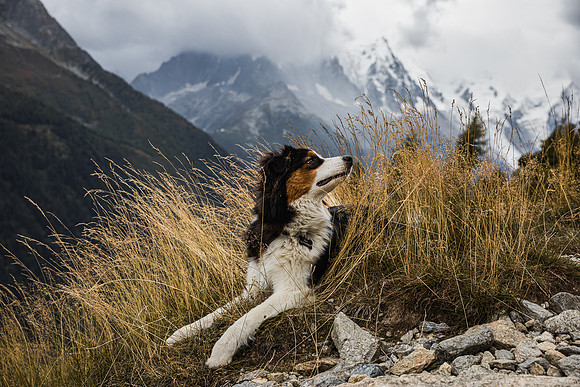 20211003_Walkies-0711
