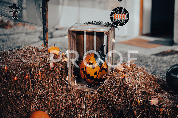 20211031_Ojjeh Halloween 21-6889