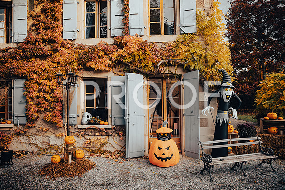 20211031_Ojjeh Halloween 21-1804