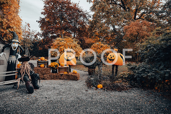 20211031_Ojjeh Halloween 21-1872
