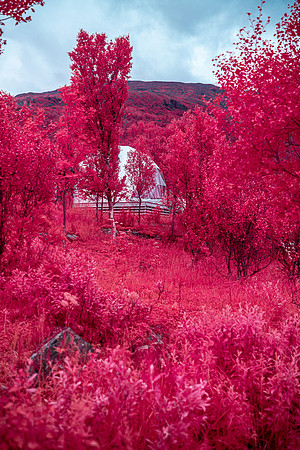 20240729_Isbreen Infra-8930