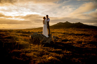 Wild Love