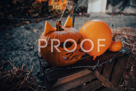 20211031_Ojjeh Halloween 21-1802