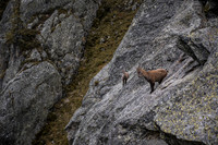 20211003_Walkies-0682