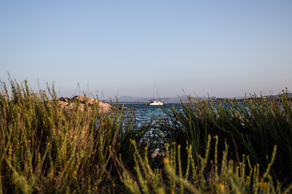 20240702_Sardinia 24-3273