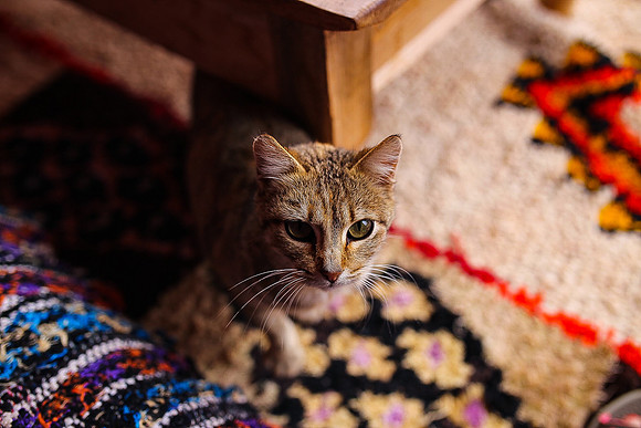 Morocco