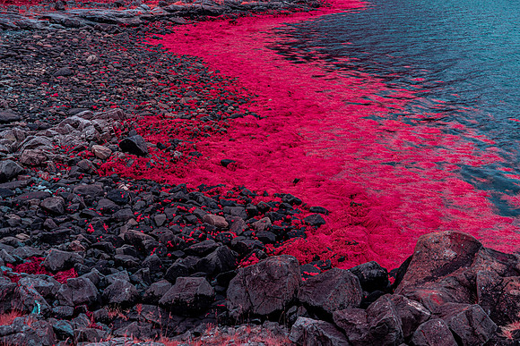 20240729_Isbreen Infra-8948
