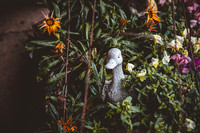 20211123_Picardyfamily-9333