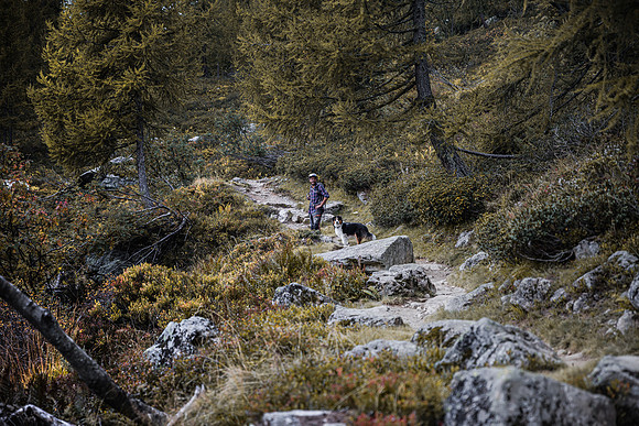 20211003_Walkies-0663