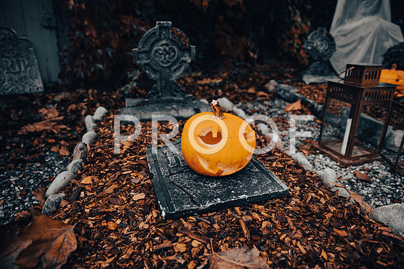20211031_Ojjeh Halloween 21-1801
