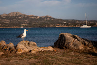 20240702_Sardinia 24-3191