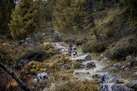 20211003_Walkies-0661