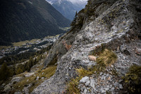 20211003_Walkies-0673