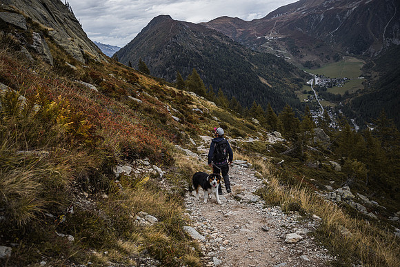 20211003_Walkies-0717
