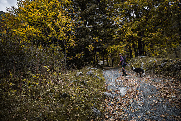 20211003_Walkies-0728