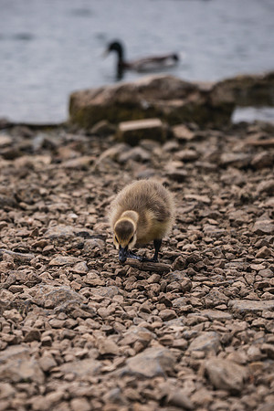 20250518_Cousins May 2025-7590